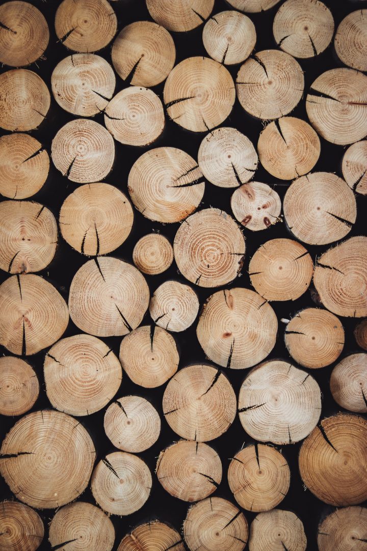 Warum Holz das beste nachhaltige Material ist 